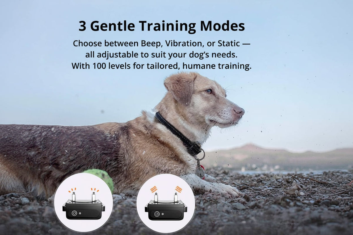 Dog Training Collar with Remote Control and Waterproof Design for Long-Range - Image 2
