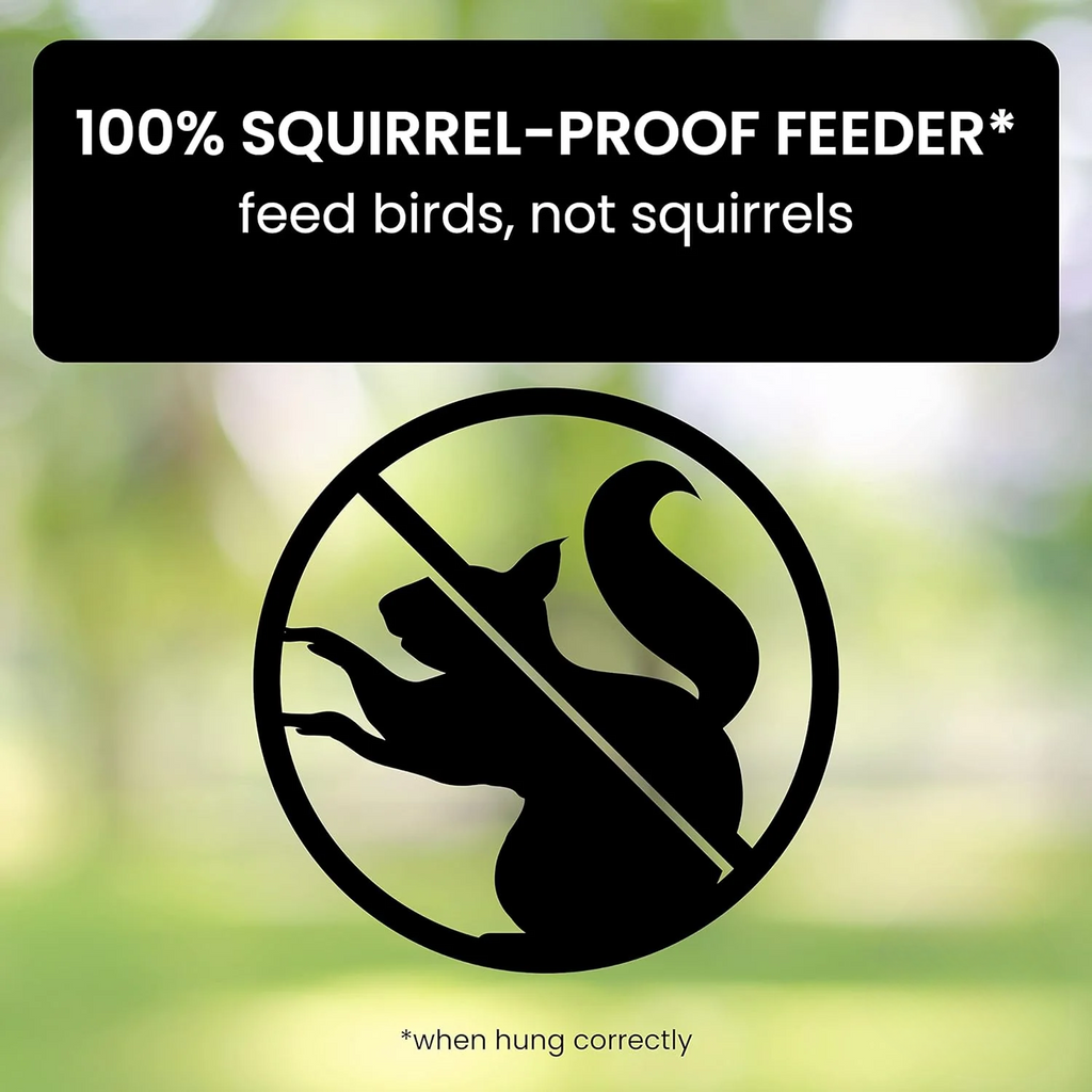 Squirrel Proof Bird Feeder with Weight Activated Spinning Perch and Tube Design - Image 2