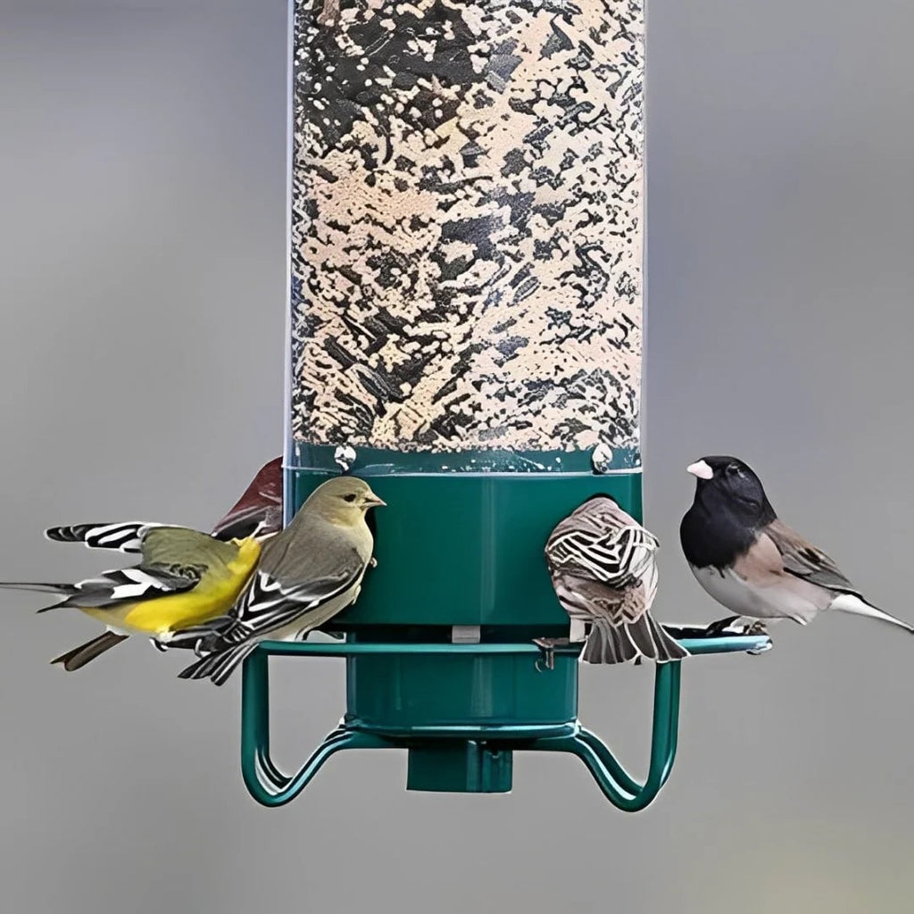 Squirrel Proof Bird Feeder with Weight Activated Spinning Perch and Tube Design - Image 5