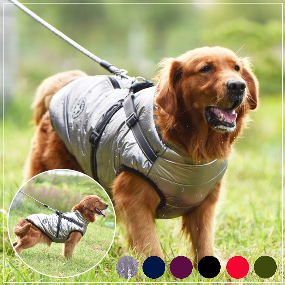 Winter Dog Jacket with Integrated Harness Waterproof Padded Puffer Vest and Reflective Straps - Image 13